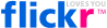 Flickr logo