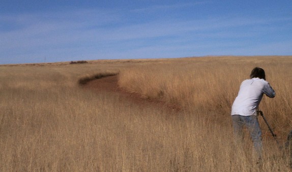 Fotografare la natura